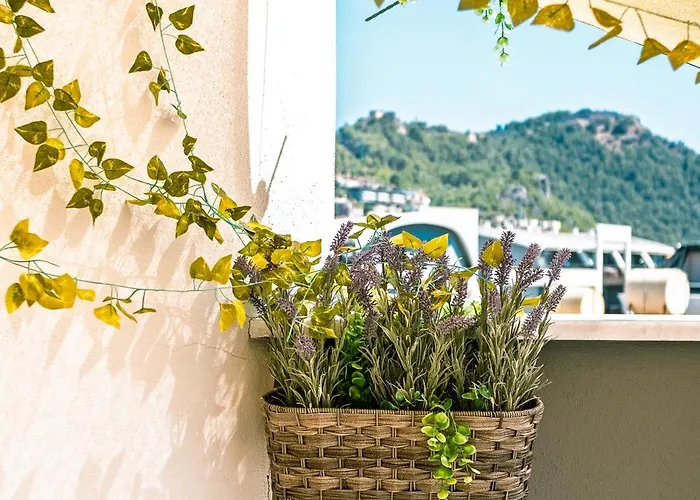 Jasmin 9 2+1 Apartment Alanya